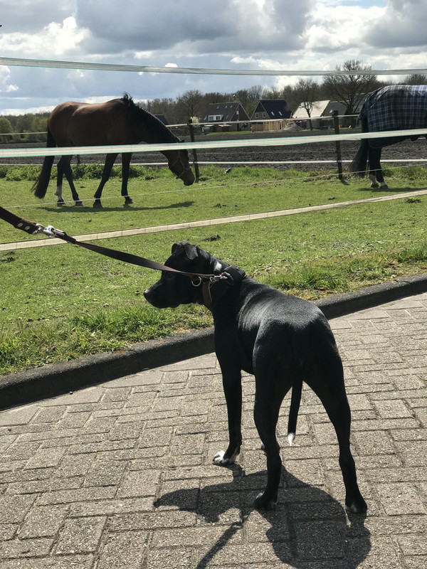 E87A1DE4-39AA-4079-8479-AD1C5382E34A