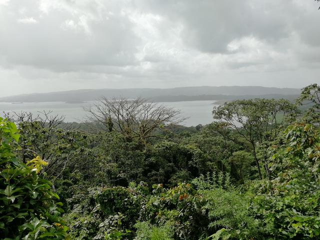 Tortuguero-Arenal-Monteverde - Costa Rica con niños. Julio-Agosto 2018 (2)