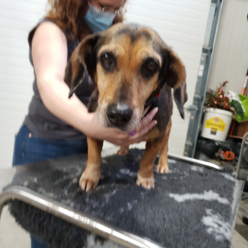 [Image: 20210205-155802.jpg]