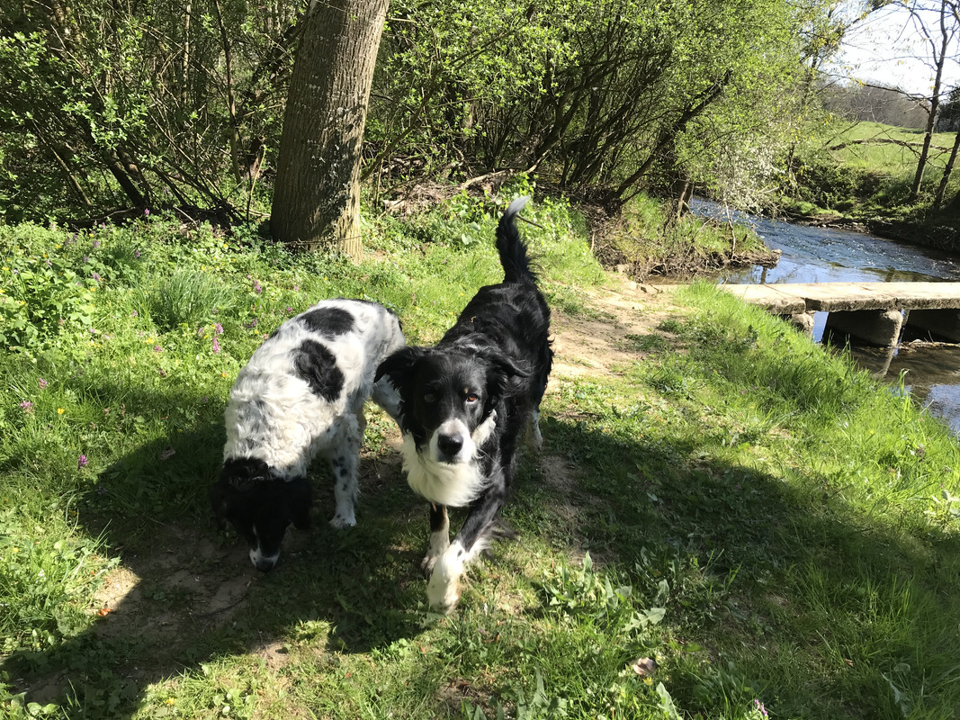 786598FA-878E-4E90-BFF6-1F92FC2055AA