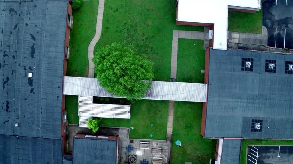 [Image: vyu7bd3wh4r5.jpg]