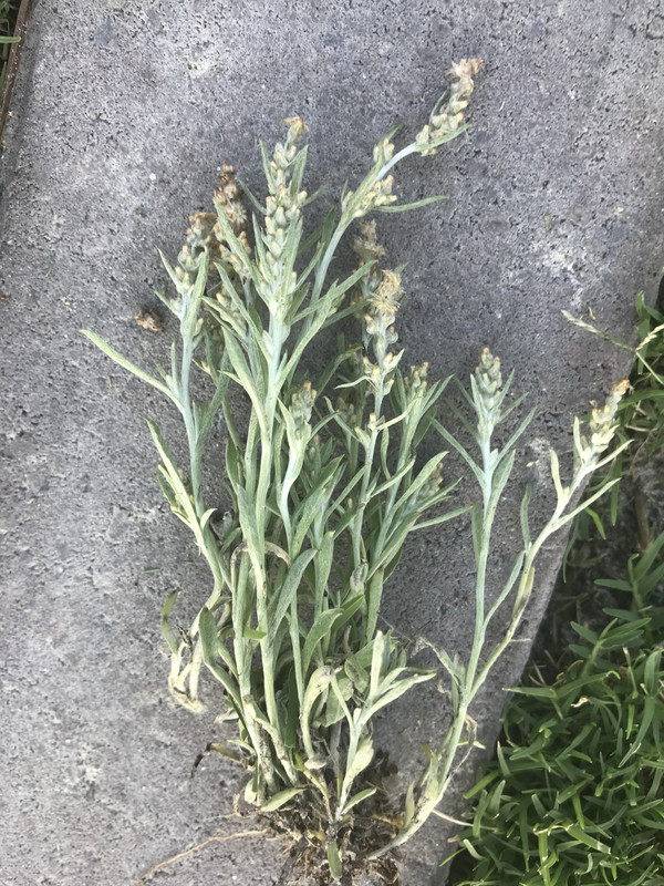 2895758C-092F-49E4-83B0-CB49EB74B54A