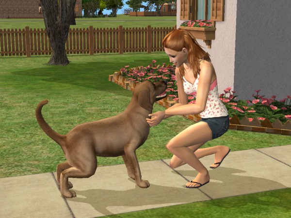 Hellohello: Domy - Stránka 5 Snapshot-c9b5e381-49b6030f