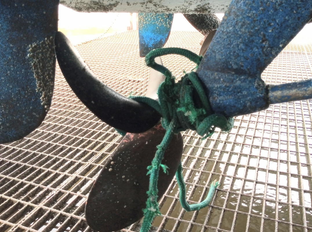 IMG_20230712_114754682~2