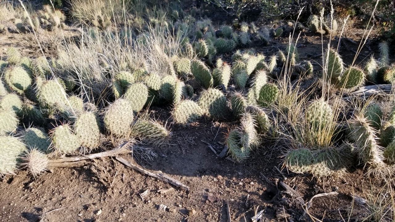 5B12A24F-2115-4E98-9C89-9AB63ECFD019