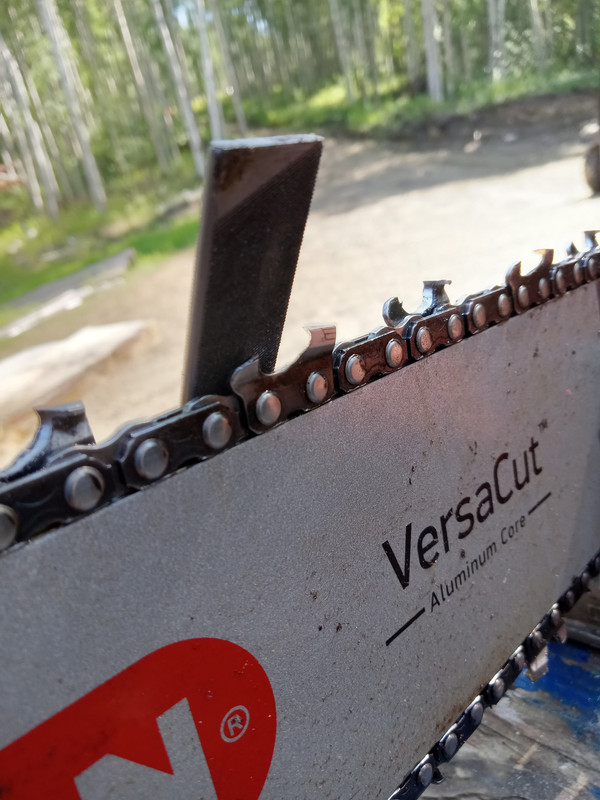 Clapped-out EXL chain revival: | Outdoor Power Equipment Forum