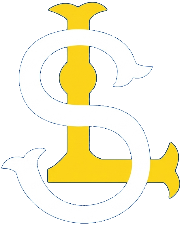 Samsung Lions Cap Logo1982Made Laterwhite