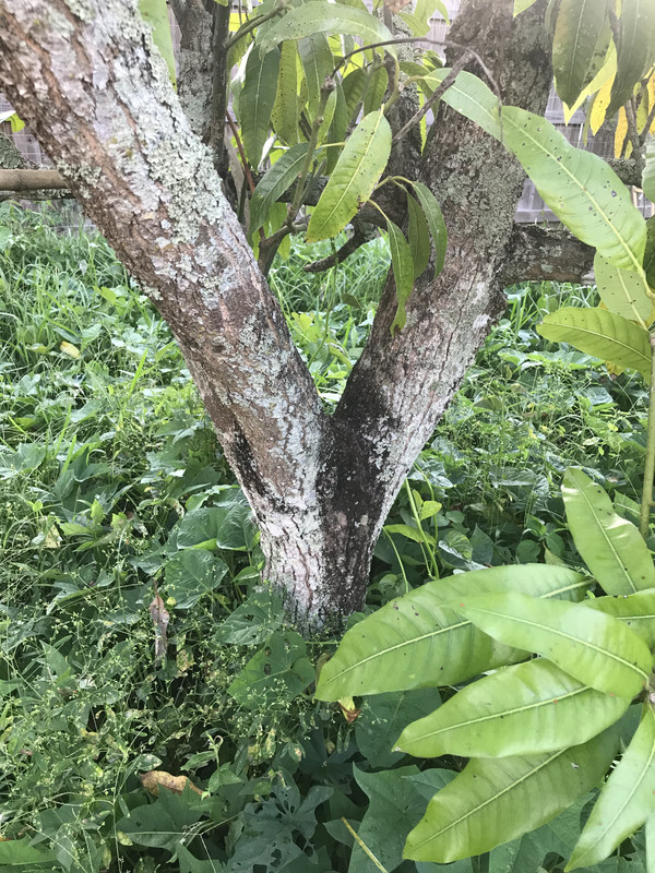 A34D7385-635A-4F5C-8679-FDC5C466973C