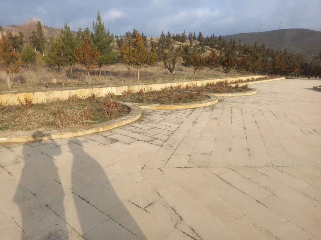 WhatsApp Image 2025-02-02 at 01.16.46 (1)