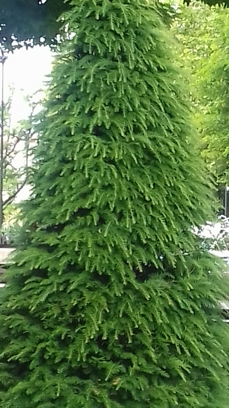 20190527_143902