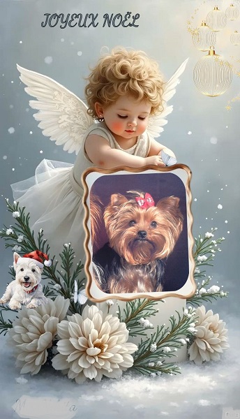 pixiz 23 12 2025 18 17 56