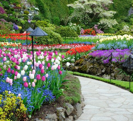 butchart-gardens.jpg