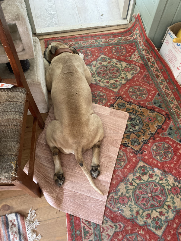 4684DF07-D1F0-4D08-88C0-F391FEB1996D