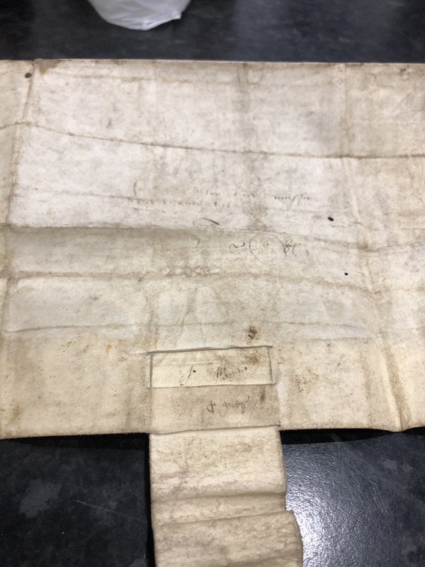 83637B1E-43B4-4736-BBA7-73904E4D6ED2