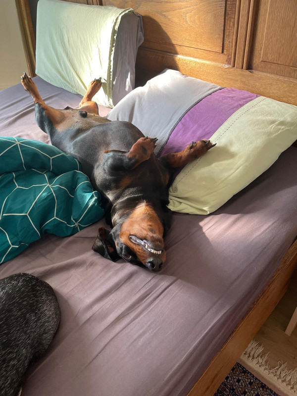 [Image: IMG-20251013-WA0014.jpg]