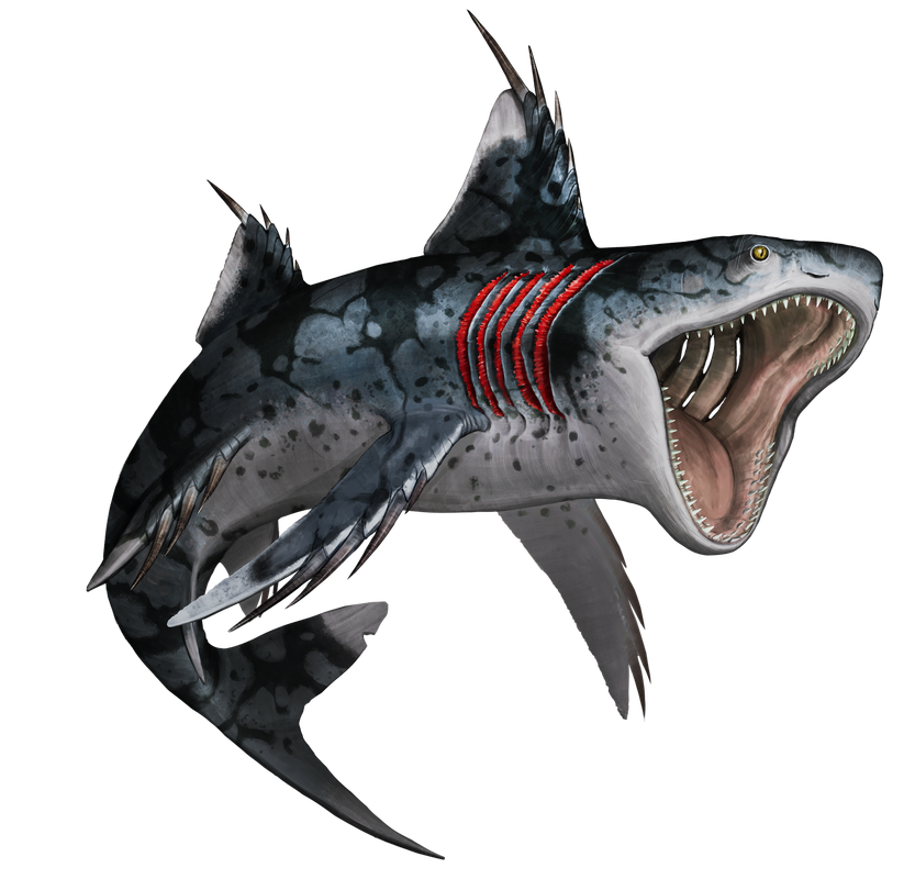 Sappys-Saivodus.png
