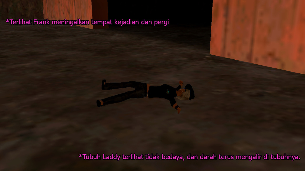 ss14.jpg