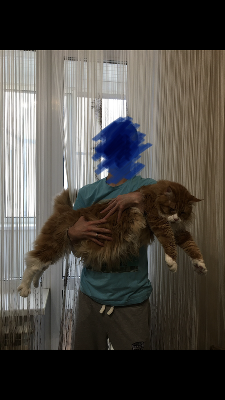 AB4377DA-F3B9-4D5F-AF18-43523C5E02CA