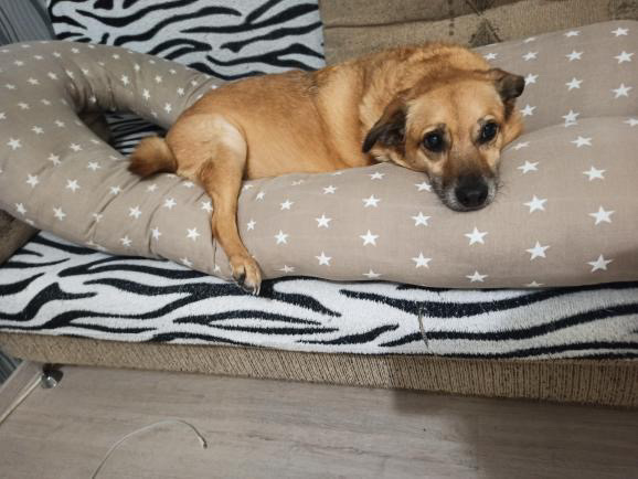 6265BD5E-DAD3-4825-95A1-F263D82AEEDD