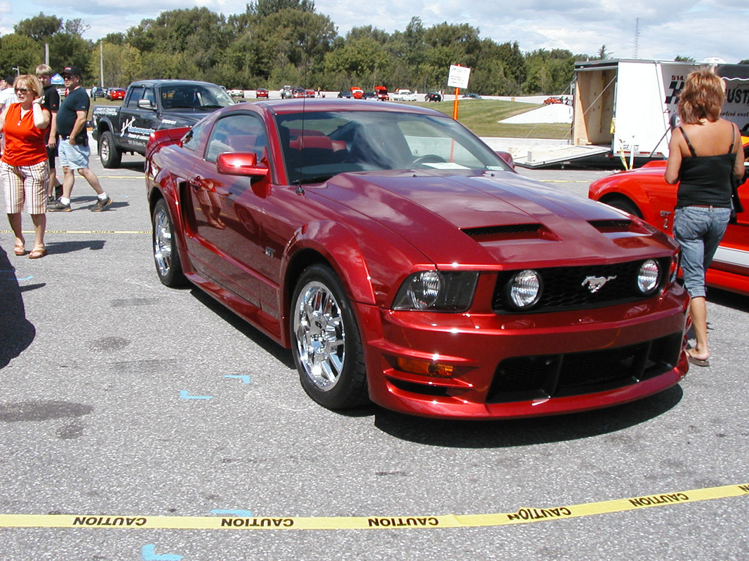 mustang - Montréal Mustang: 40 ans et + d’activités! (Photos-Vidéos,etc...) - Page 20 P8120039