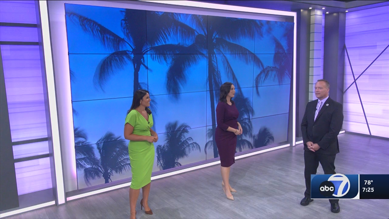 06.13 - 00.00.00 - ABC7 7O'Clock News  ᴺᵉʷ. No Description Info.ts_snapshot_27.48.474