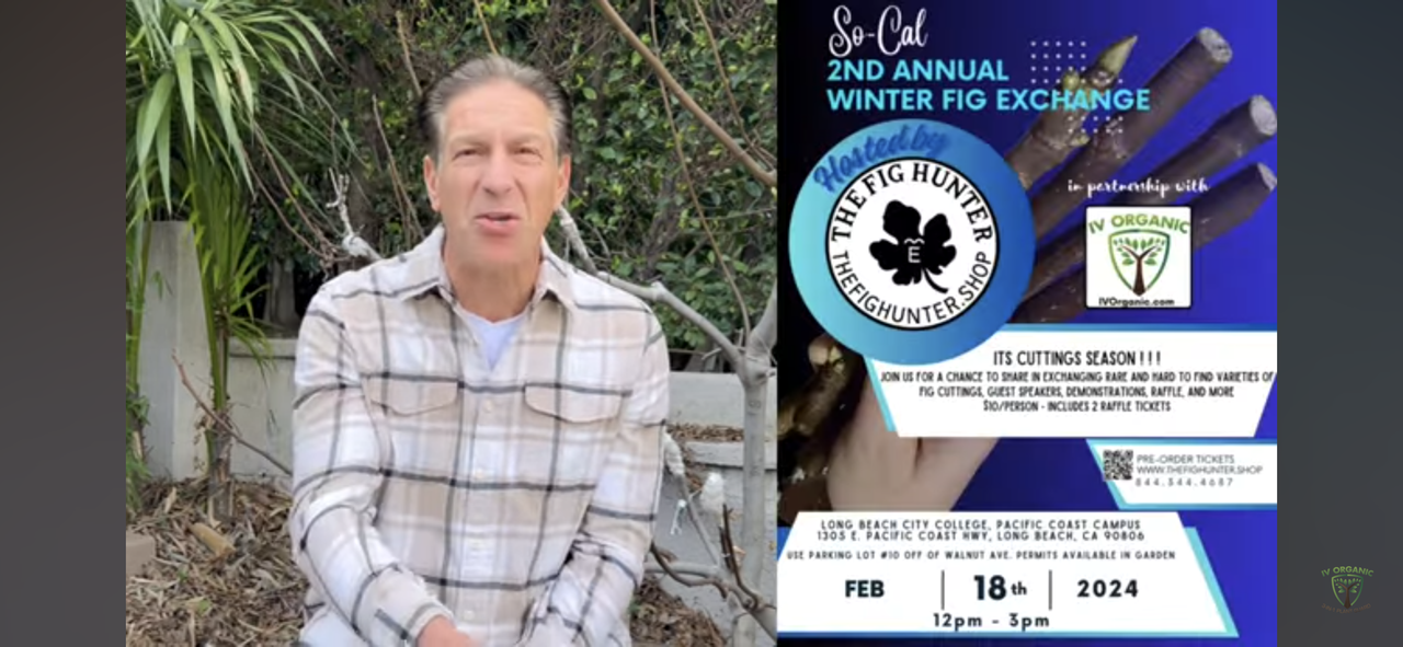 Screenshot_20240204-125002