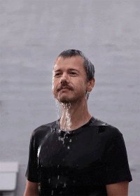 IMG-6809.gif