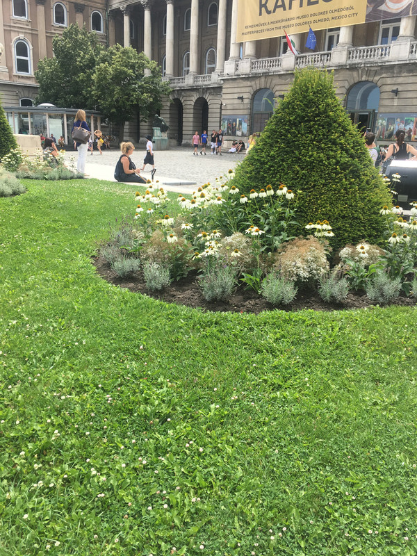 46100479-523F-43B5-8B78-A1999A6CC8C3