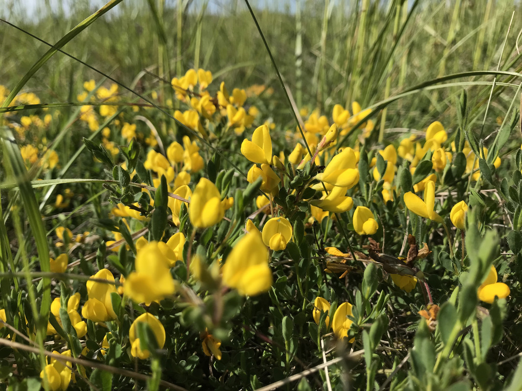 1CBC812A-A110-4BDD-AE64-E48256BAB506