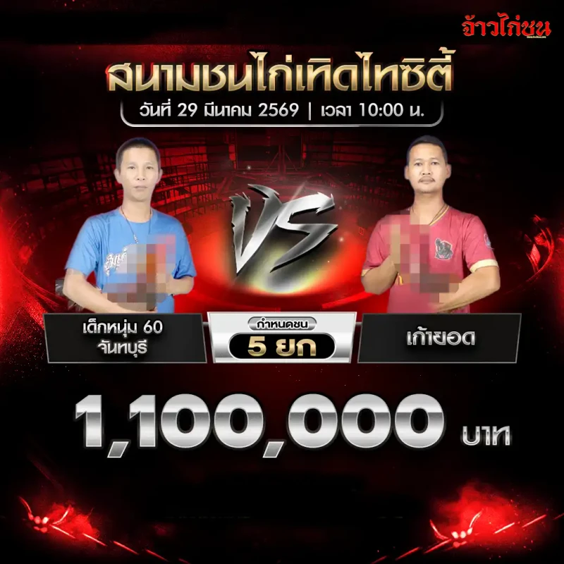 เด็กหนุ่ม 60 จันทบุรี พบ เก้ายอด โปรแกรมไก่ชน สนามชนไก่เทิดไทซิตี้ 29 มีนาคม 2569