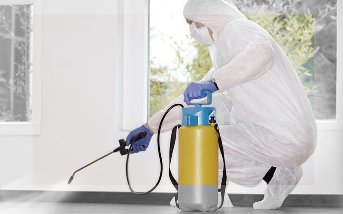 Очистите свой дом от невидимых врагов: Как дезинфекция в Ташкенте станет вашим надежным защитником от клопов и болезнетворных микробов?