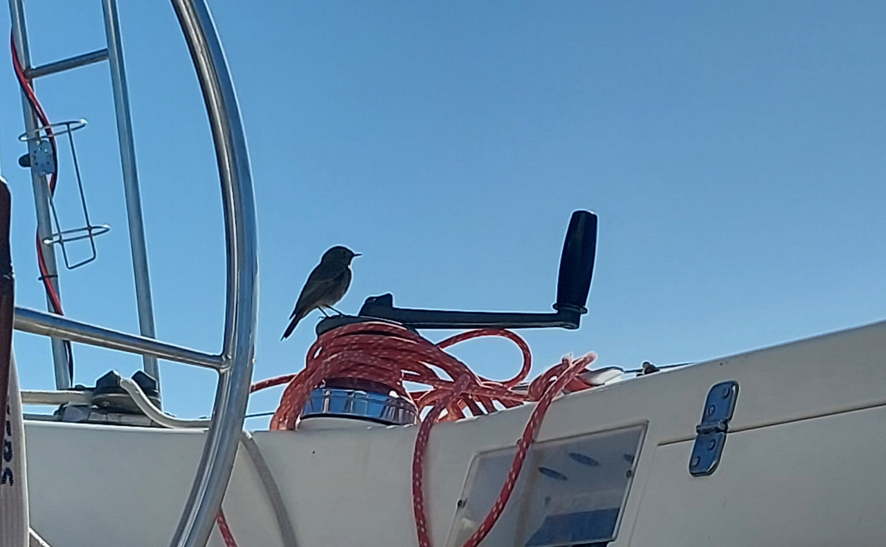 [Imagen: 20251105-111242.jpg]