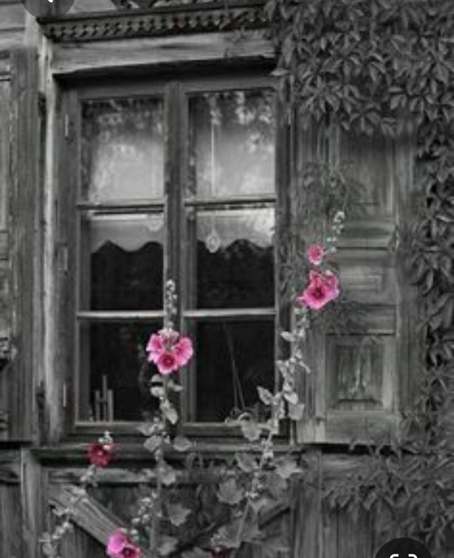 Screenshot_20230409_222424_Pinterest