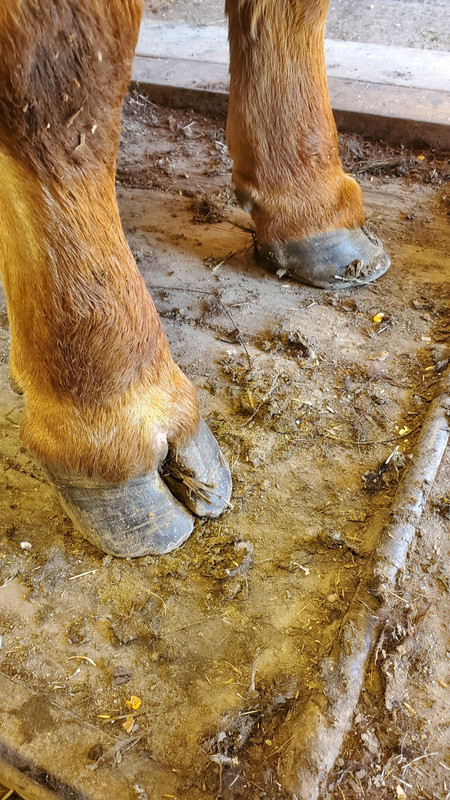 811U Talker feet