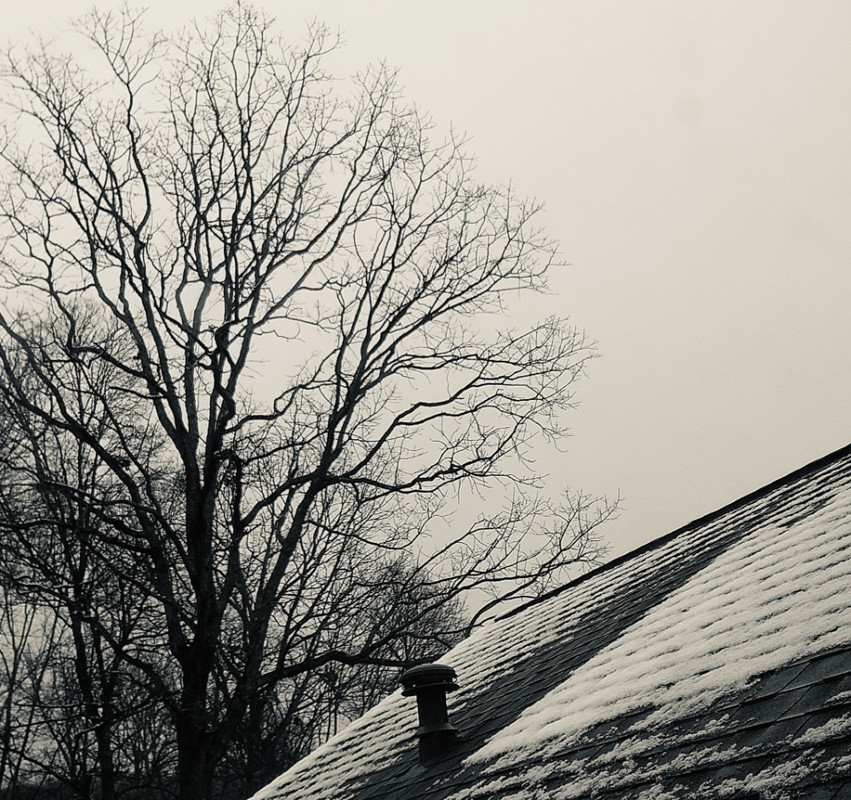 Snow melting on a rooftop, barren tree and grey sky in background