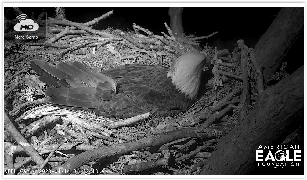 Screen Shot 01-14-20 at 07.43 AM