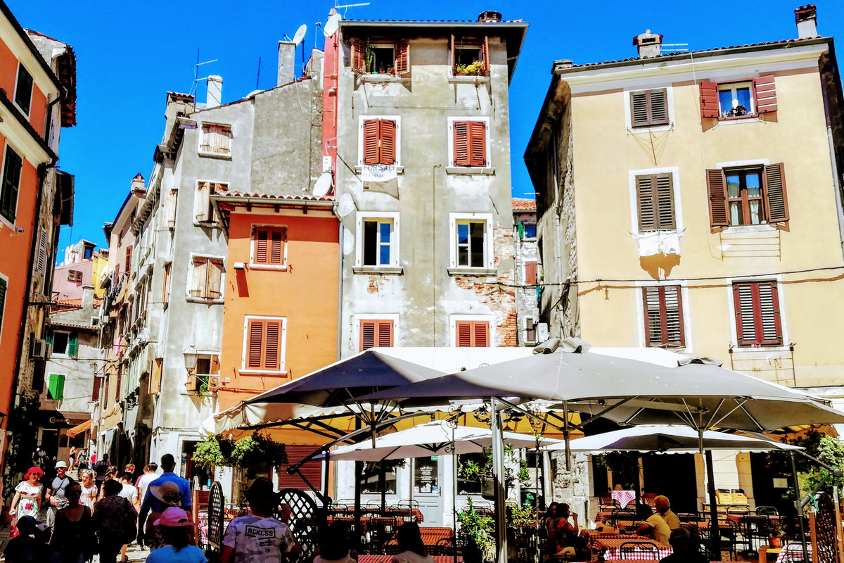 IMG_20220731_115139 (3)