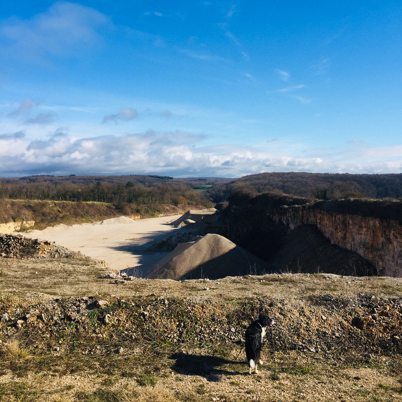 AB5A28B6-7AD5-4F3B-9349-5284643DB841