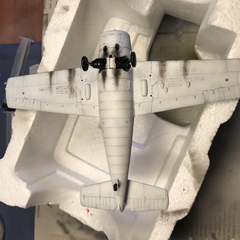 IMG_1517 αντίγραφο 2