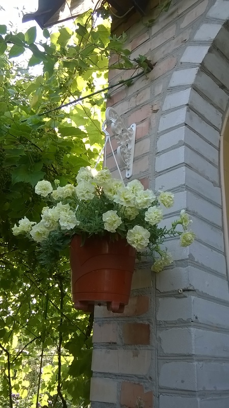 WP_20150724_17_52_26_Pro