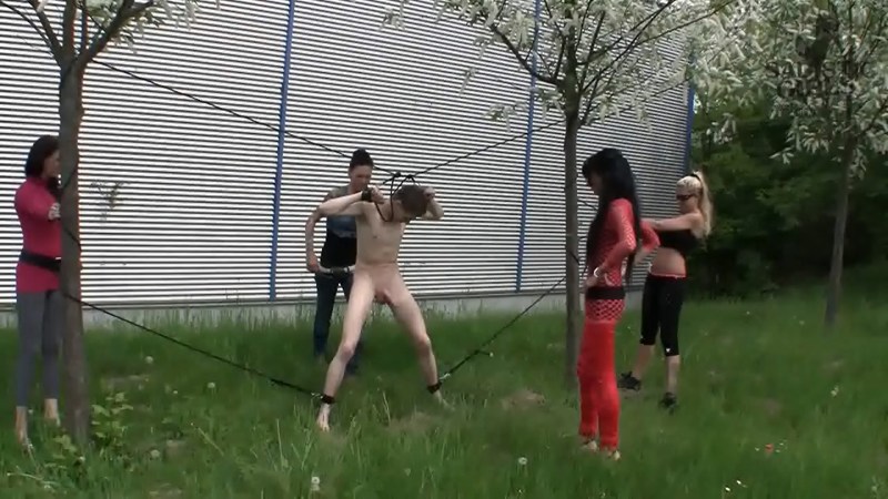 24