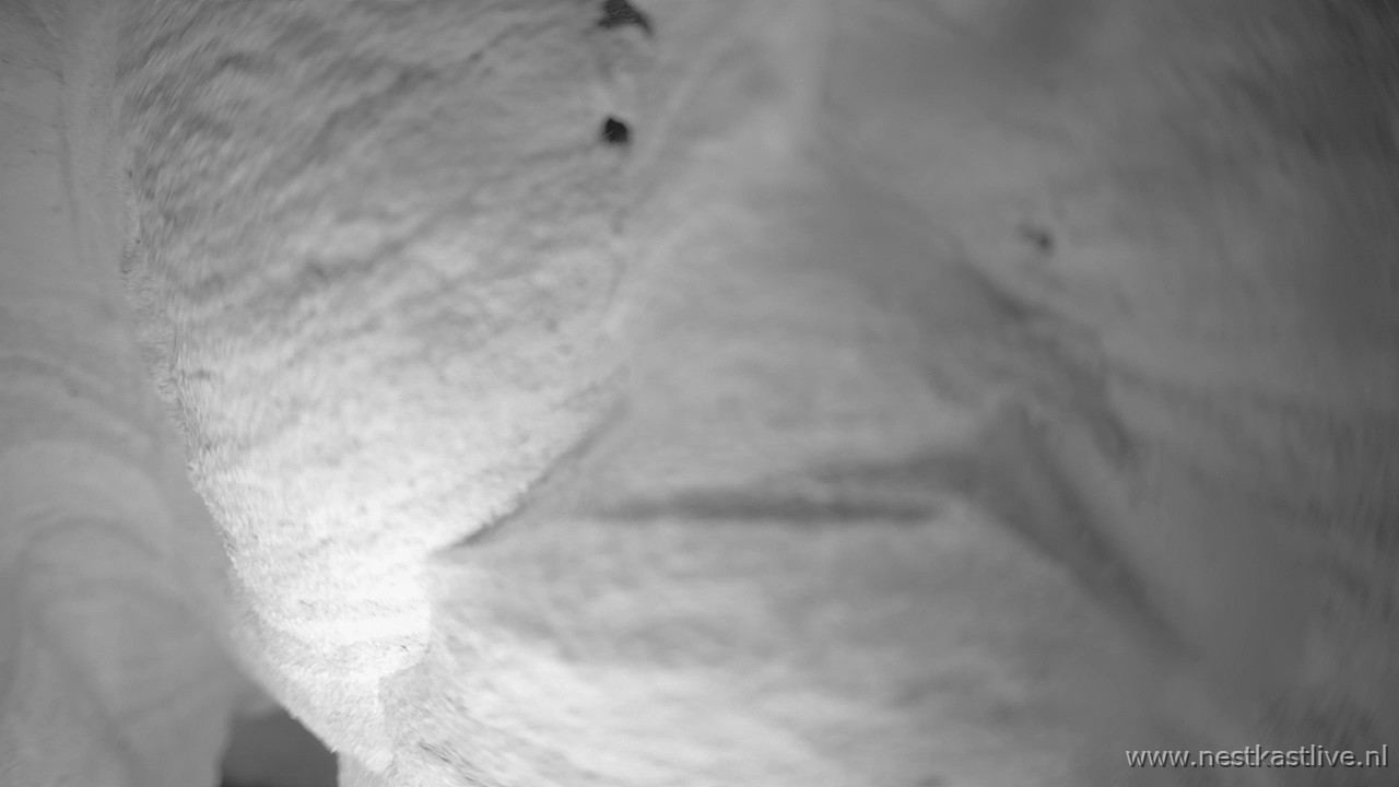 snapshot - 2025-09-04T012415.834