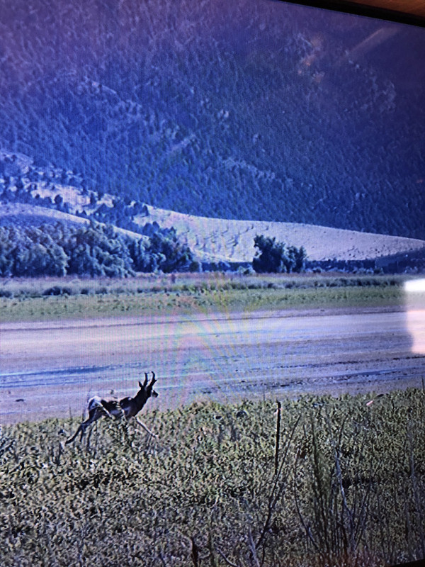 FBEA6ACC-3960-4766-BCE6-6EFB9F85AC92