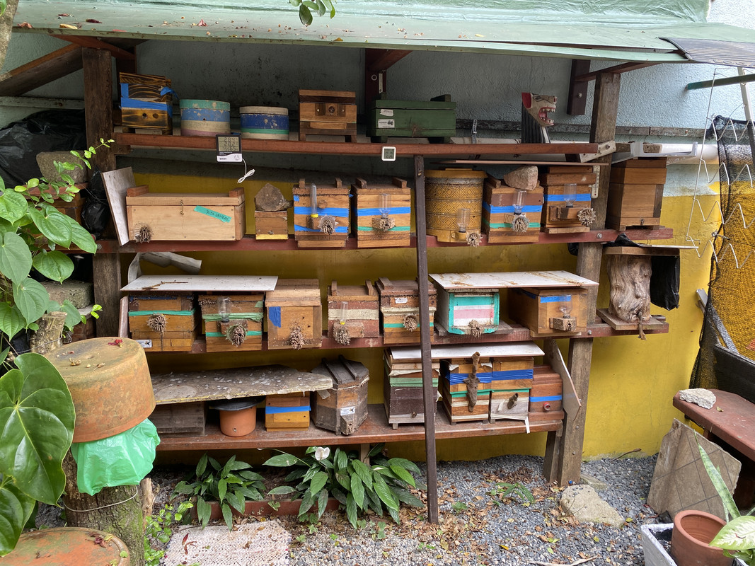 A1491AFA-D18D-4C21-9042-B8EFF3D800C5