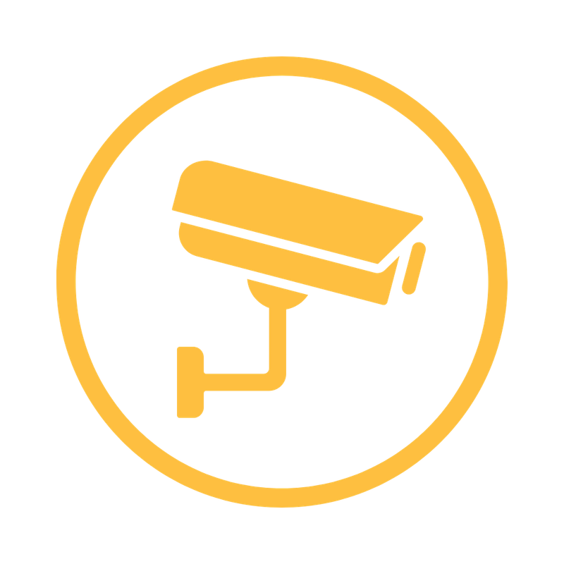 Security System Icon
