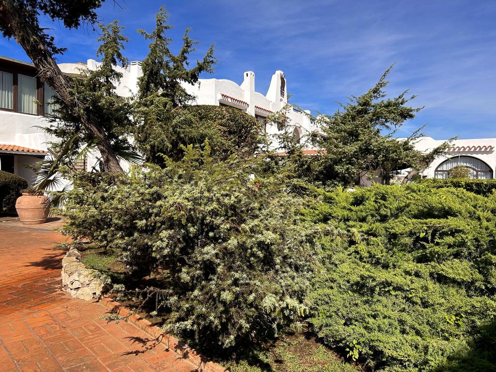 Жаркий сентябрь на побережье Тирренского моря. Жаркий сентябрь на побережье Тирренского моря.