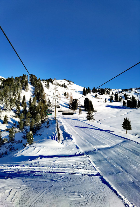 IMG_20221125_084426_edit_893081495859559