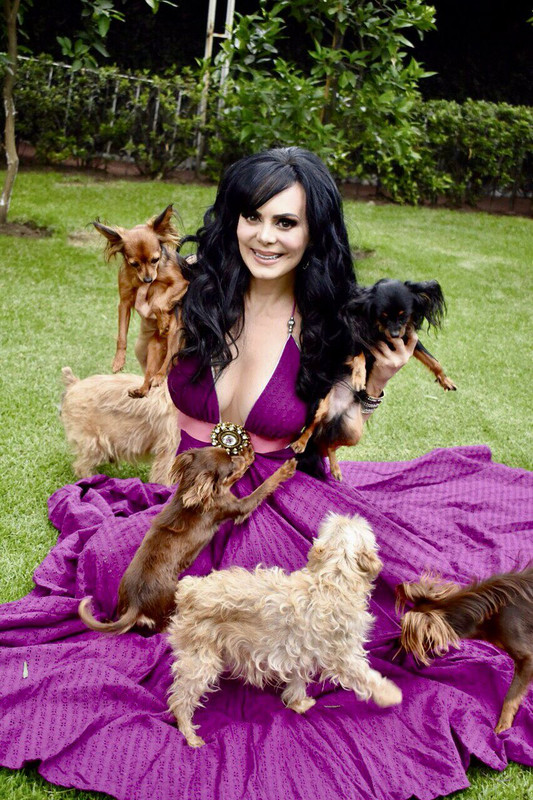 ¿Por qué se hizo viral el perro de Maribel Guardia?