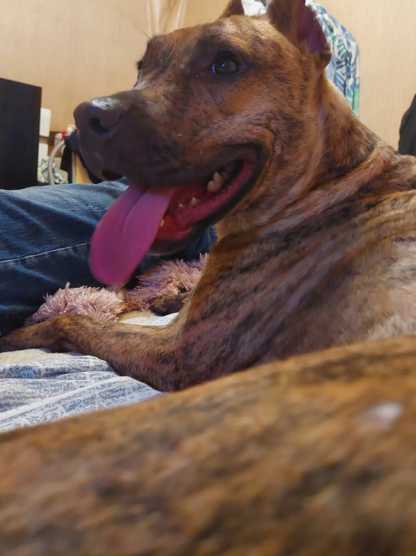 E3F48B00-11AF-4636-AFB0-ACF3AA2E6D3F