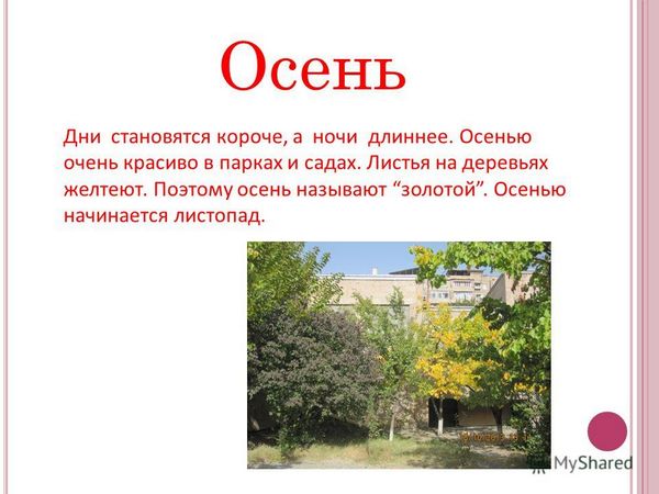 Когда дни становятся все короче а листва на деревьях начинает Когда дни становятся все короче а листва на деревьях начинает